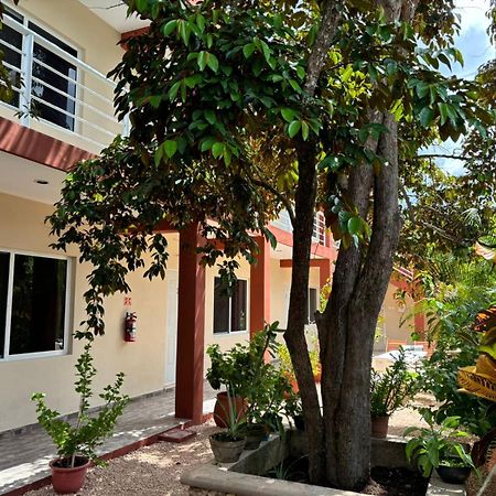 Hotel Casa Del Cenote Valladolid  Zewnętrze zdjęcie