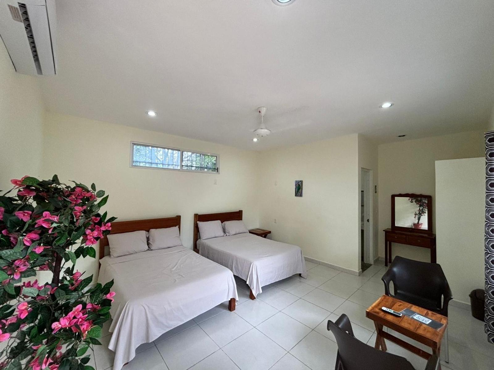 Hotel Casa Del Cenote Valladolid  Zewnętrze zdjęcie